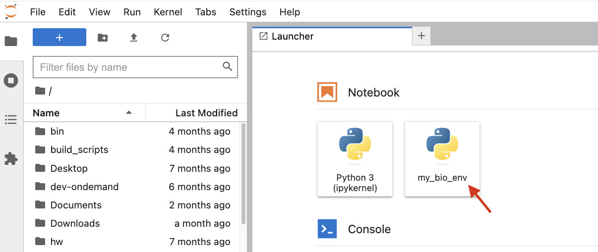 Red arrow pointing to kernel icon in JupyterLab