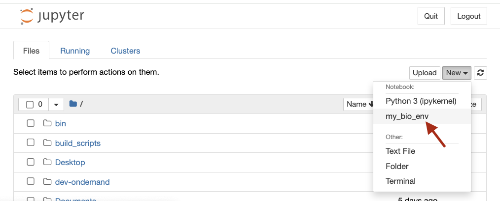 Red arrow pointing to the kernel name in the "New" dropdown menu